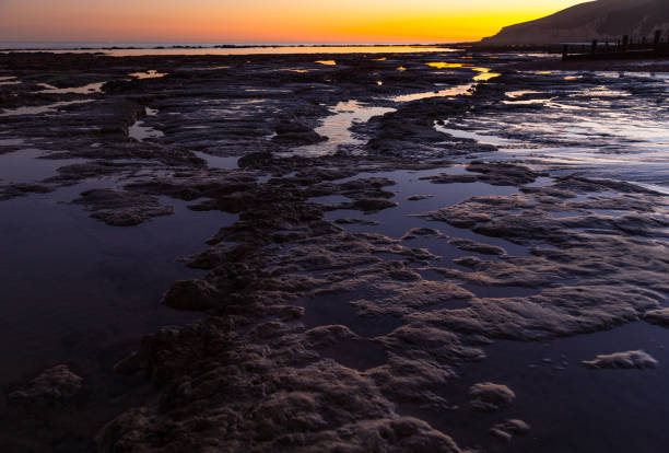 Lovely low tide East Sussex sunset in Eastbourne England Europe