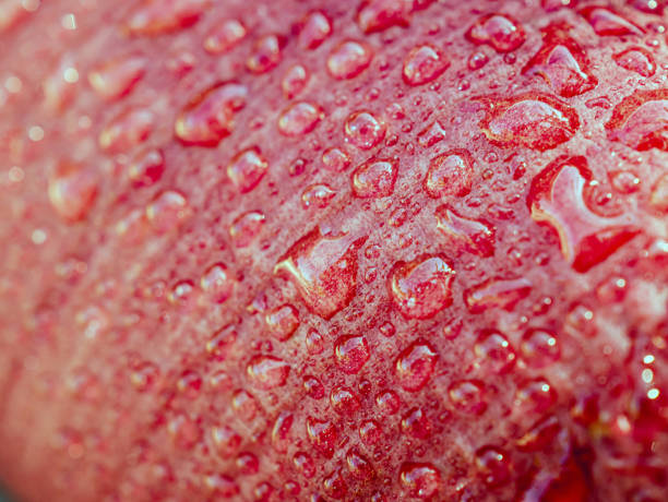 istock Red skin apple with droplets Macro Close-Up Shot 2188999739