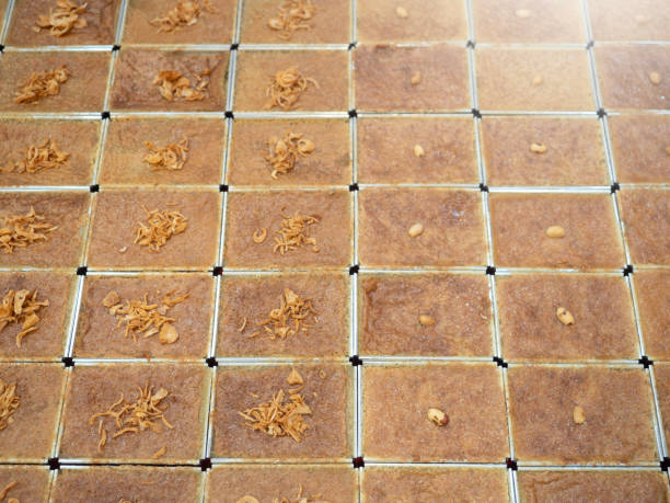 istock Khanom Mo Kaeng, traditional Thai baked sweet dessert with coconut custard pudding. 2189001892