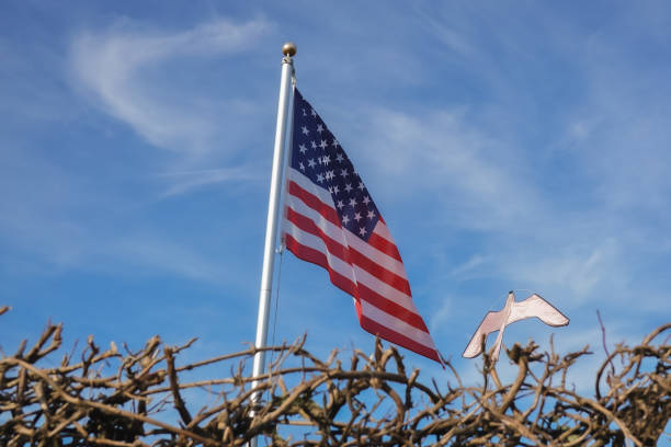American flag and eagle over blue sky with a fence from interwined branches