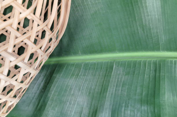 Background illustration with natural background, banana leaves, basket.
