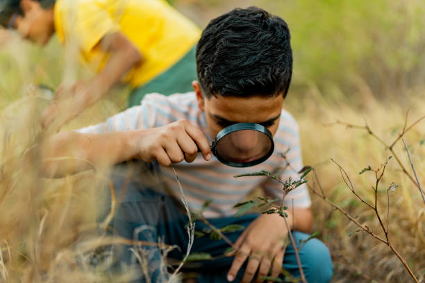 istock Child boy looking the nature using magnifying glass during summer camp outdoors 2189016867