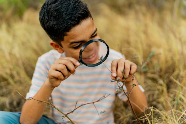 istock Child boy looking the nature using magnifying glass during summer camp outdoors 2189016906