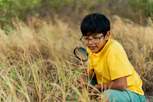 istock Child boy looking the nature using magnifying glass during summer camp outdoors 2189016913