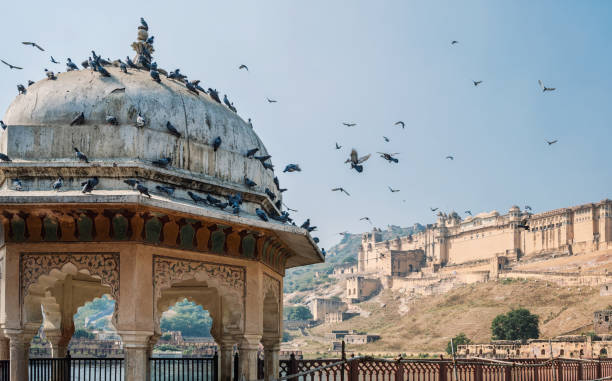 istock view on amber fort in Jaipur 2189019894