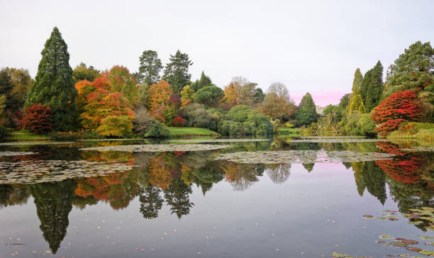 istock Autumn Leaves at Sheffield Park 2189022097