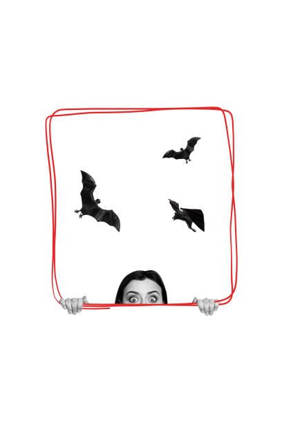 Vertical poster collage young scared afraid girl peek hide frame spy bats flight halloween creepy spooky atmosphere holiday.