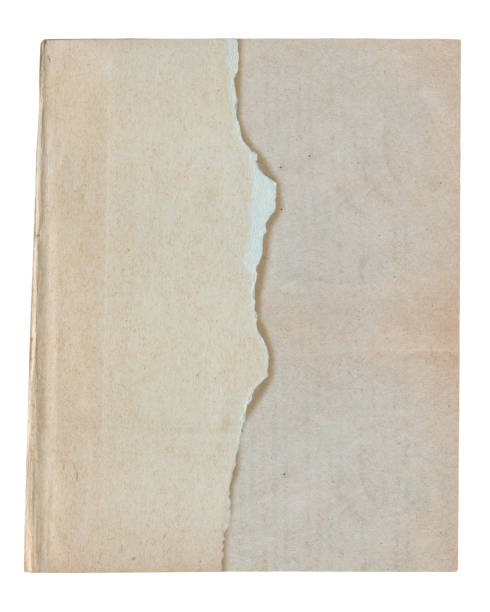 istock Vintage background of old ancient torn paper texture isolated 2189023461