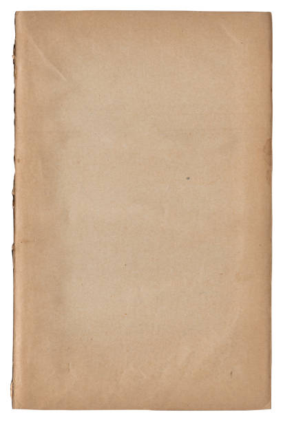 istock Vintage background of old ancient torn paper texture isolated 2189023519