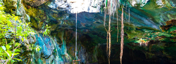 istock Cenote Minotauro with limestone rocks tree roots in underground Mexico. 2189025794