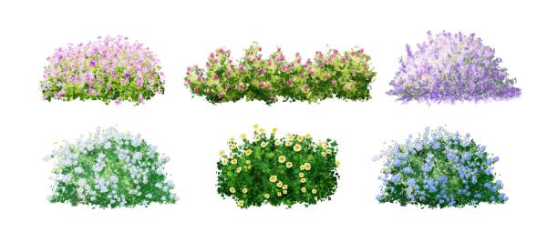 istock Set of flower bushes watercolor illustration on white background 2189033429