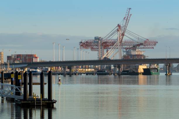 istock Serene harbor scene with cranes and a paddle boarder under a bridge during a calm morning 2189033721