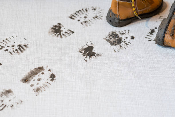 istock Dirty boots leave muddy footprints on a carpet 2189033957