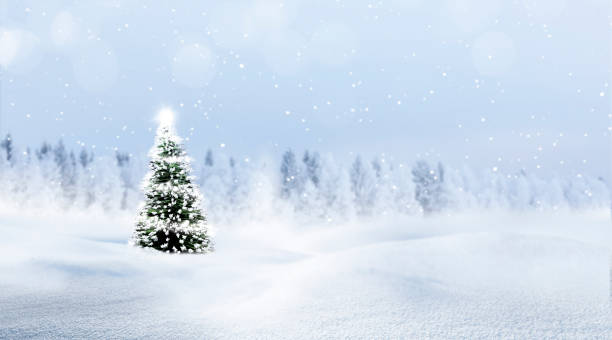 istock White Christmas tree in a wintery snowy landscape 2189034720