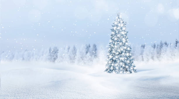 istock White Christmas tree in a wintery snowy landscape 2189034721