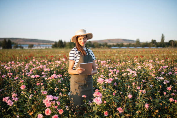 istock Female entrepreneur using digital tablet in his rose agriculture fields. 2189035115
