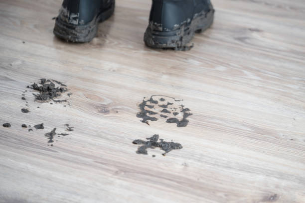 istock Uncleaned footprints on wooden floor after outdoor activity 2189037455