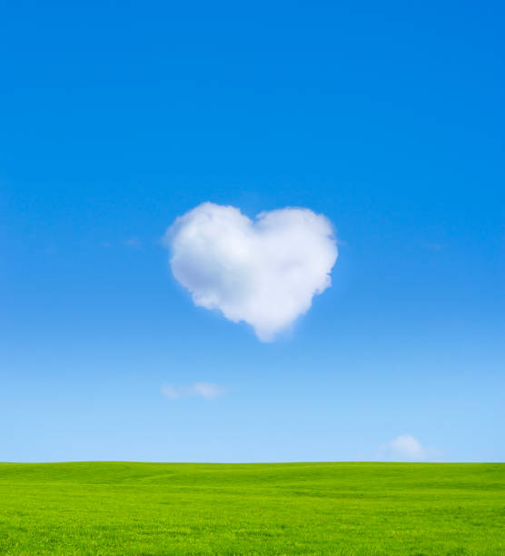 istock Heart cloud in blue sky and meadow 2189038341