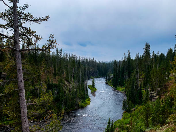 istock Hiking Through Yellowstone In Wyoming 2189039412