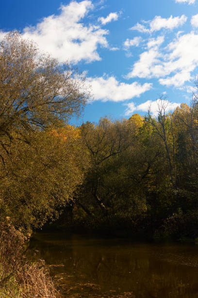 A serene autumn landscape showcasing trees with golden leaves under a clear blue sky, reflected in a calm river. The peaceful scene evokes tranquility and natural beauty.