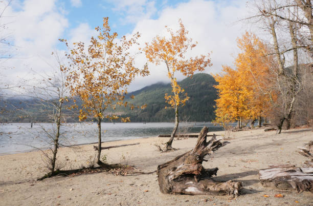 istock Kilby Park Campground in Harrison Mills, British Columbia 2189050720