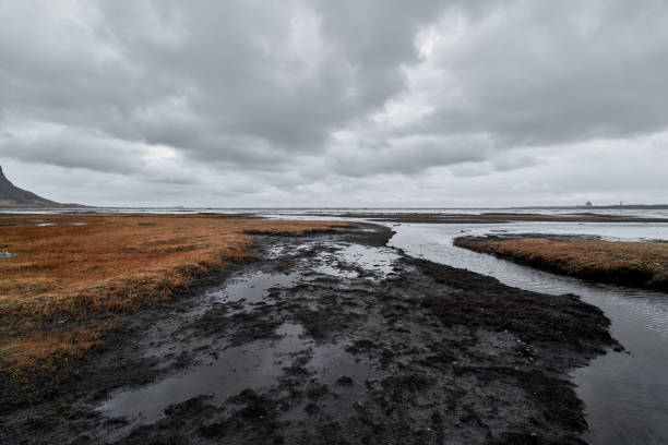 Stream is flowing through a marshland with brown grass growing on its banks under a cloudy sky in iceland