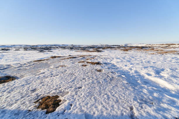 Snow is slowly melting on a vast frozen landscape, creating puddles of water on the icy ground