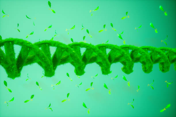 DNA Helix Structure Covered With Grass On Green Background