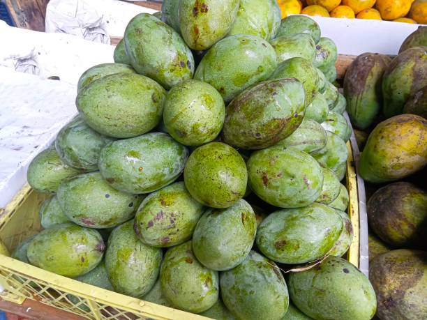 istock pile of mangoes on the table 2189054025