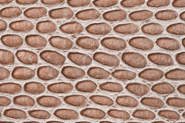 Close-up texture of reptile skin with oval patterns, Mocha mousse color tones