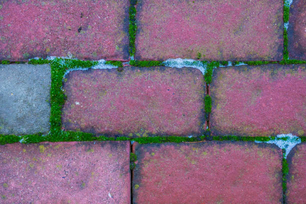istock Tiles on the floor under the snow 2189062367