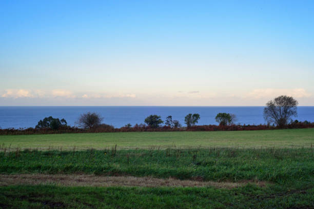 istock Green field by the sea at dusk 2189064234