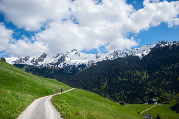A serene view of the Swiss Alps featuring a winding trail through green meadows and snow-covered peaks under a bright blue sky. Perfect for postcards, travel promotions, or nature photography enthusiasts.