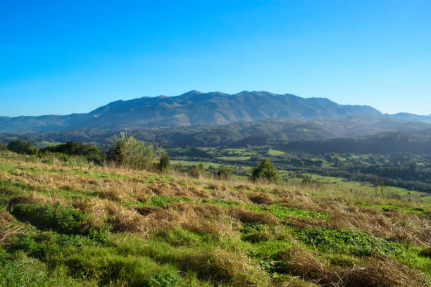 Sueve crest in horizon behind green field