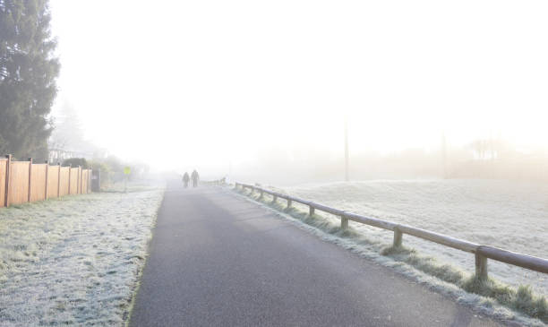 Surrey, Canada - December 4, 2024: Pedestrians walk the Green Timbers Greenway in the Fleetwood neighbourhood of Surrey. Autumn morning in Metro Vancouver.