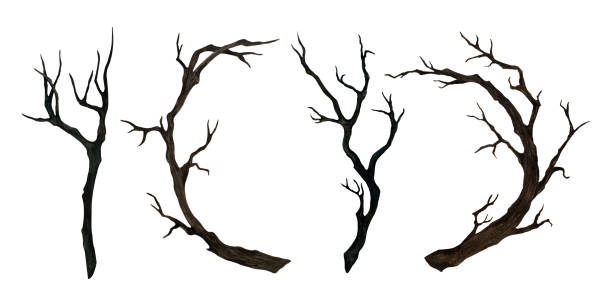 istock Set of Dark brown dry branches without leaves. Watercolor illustration on isolated background. Dry curved ramification hand drawn for Gothic and Halloween designs. Esoteric elements for composition 2189068060