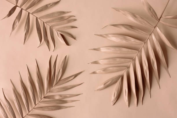 istock Arrangement of palm leaves 2189073687