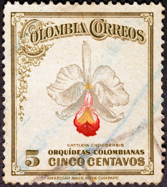 istock Beautiful colombian orchid on vintage postage stamp 2189073941