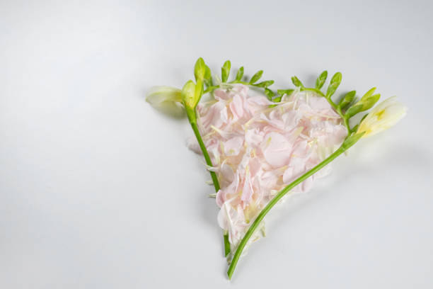 Heart shape made of flowers. Valentine's day