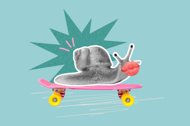 Composite sketch design artwork 3D photo collage of copyspace outdoors skateboard route way snail animal gastropod grimace lips nature.