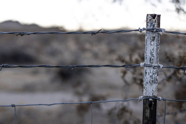 istock Old Barbed Wire Against The Sky Blurred Background 2189078040