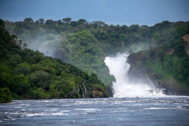 istock the nile murchison falls national parc uganda 2189078325