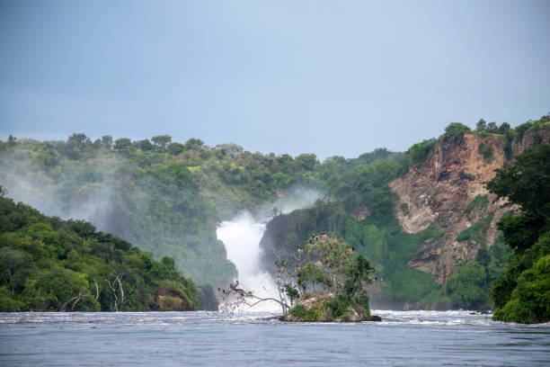 istock the nile murchison falls national parc uganda 2189078355