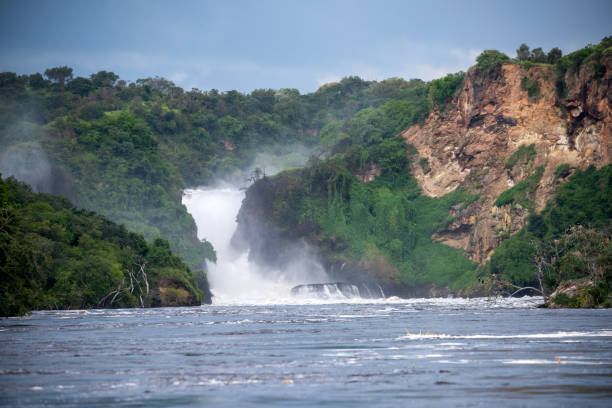 istock the nile murchison falls national parc uganda 2189078372