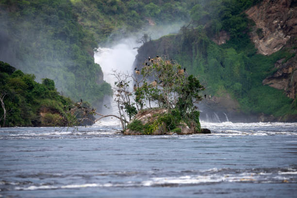 istock the nile murchison falls national parc uganda 2189078438