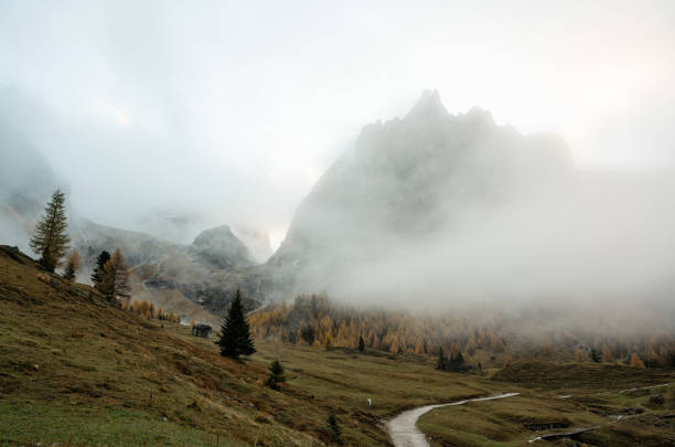 istock Road into the alpine fog 2189078761