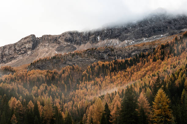 istock Autumn forest landscape on a cloudy morning in the Dolomites 2189078800