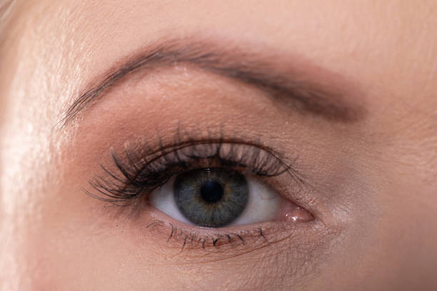 istock A CloseUp of a Beautiful Eye Enhanced with Flawless Makeup Highlights for Emphasis 2189081027