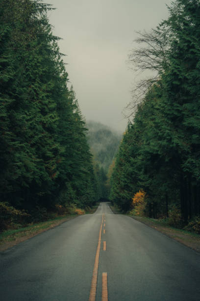 istock The Road To The Forest 2189081267