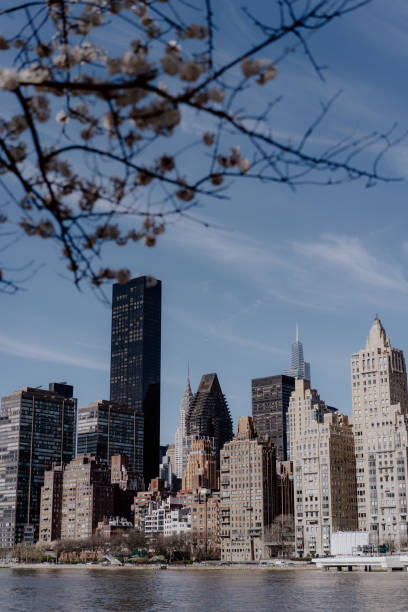 istock Urban skyline is beautifully complemented blooming tree branches in foreground 2189081809